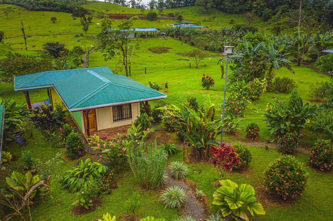 Rio Celeste Springs Blue Lodge Bijagua Δωμάτιο φωτογραφία